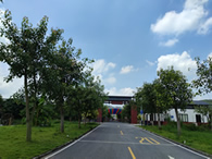 来了，广州市白云区金沙小学2023年统筹生录取名单公布