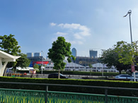 丰田汽车发布铃鹿5小时耐力赛的参赛体制
